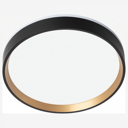 Накладной светильник Citilux Etalon CL750241 в Нижнем Новгороде