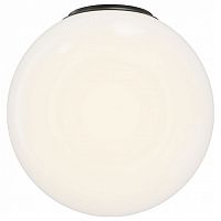 Накладной светильник Maytoni Twins MOD427CL-L10B3K в Нижнем Новгороде