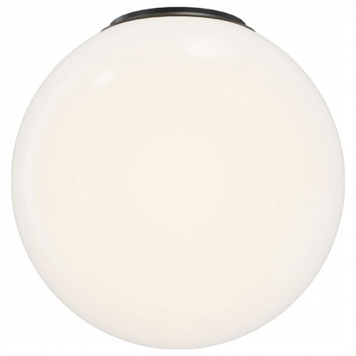 Накладной светильник Maytoni Twins MOD427CL-L10B3K в Нижнем Новгороде