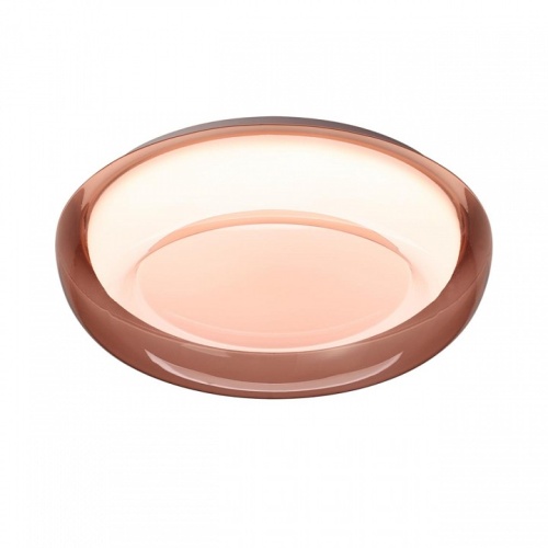 Накладной светильник Sonex PORTMAN 7778/DLN в Нижнем Новгороде фото 3