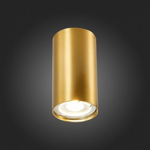 Накладной светильник ST-Luce ST110 ST110.207.01 в Нижнем Новгороде фото 6