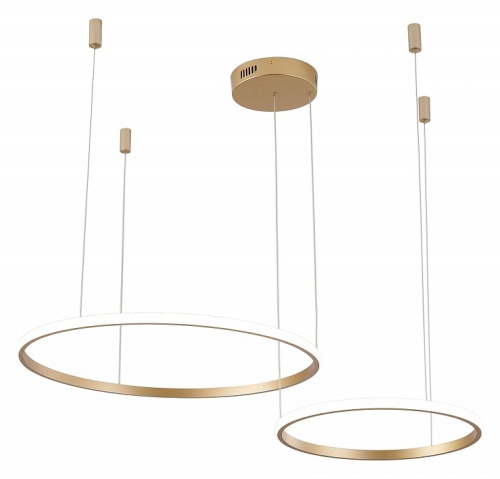 Подвесной светильник Zortes Ringolight ZRS.33320.63F в Нижнем Новгороде фото 4