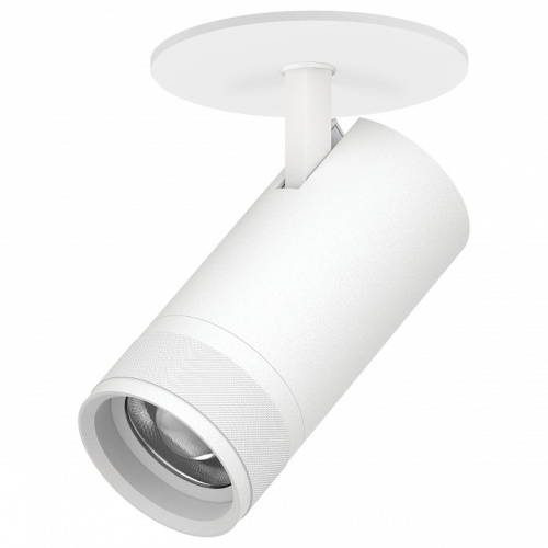 Спот Lightstar Canno Pro C4306RS в Нижнем Новгороде