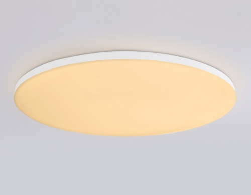 Накладной светильник Ambrella Light FZ FZ2003 в Нижнем Новгороде фото 6