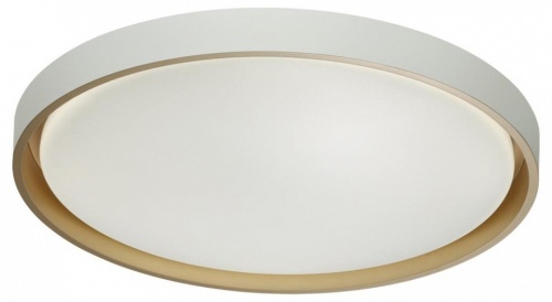 Накладной светильник Sonex Kisil 7645/ELN в Нижнем Новгороде фото 5