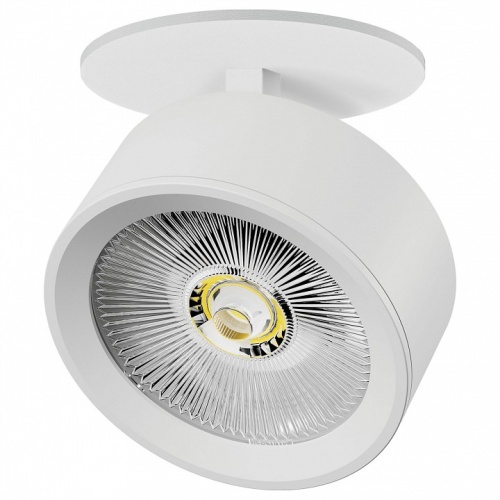 Спот Lightstar Alta Pro A5636RS в Нижнем Новгороде