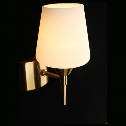 Бра Aployt Lyus APL.840.01.01 в Нижнем Новгороде фото 12