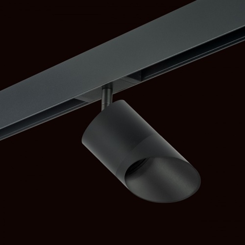 Светильник на штанге Lightstar Rullo PRO348787 в Нижнем Новгороде фото 4