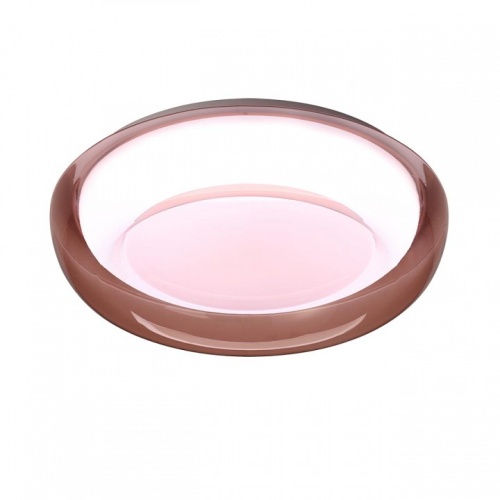 Накладной светильник Sonex PORTMAN 7778/DLN в Нижнем Новгороде фото 4