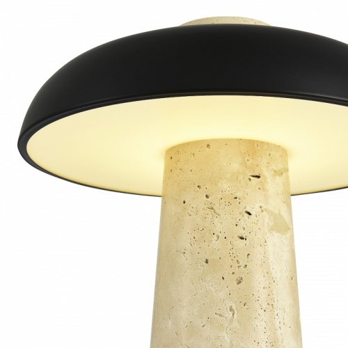 Настольная лампа декоративная ST-Luce Earthy SL1194.424.01 в Нижнем Новгороде фото 6