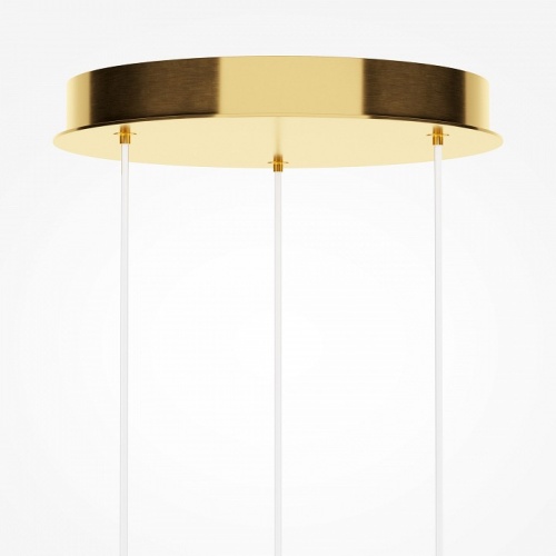 Подвесной светильник Maytoni Foresight MOD347PL-L24BS3K в Нижнем Новгороде фото 2