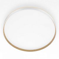 Накладной светильник Citilux ETALON CL750500R в Нижнем Новгороде