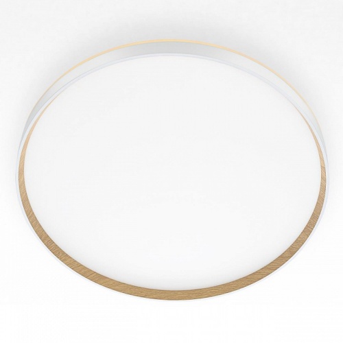 Накладной светильник Citilux ETALON CL750500R в Нижнем Новгороде