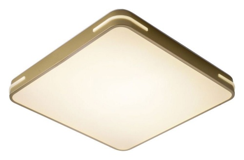 Накладной светильник Zortes Gabby ZRS.1215.04 в Нижнем Новгороде фото 10