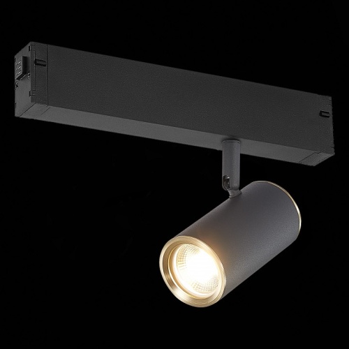 Светильник на штанге ST-Luce SKYLINE 220 ST504.436.01 в Нижнем Новгороде фото 3