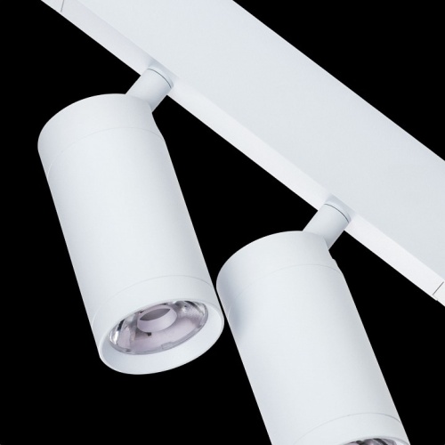 Светильник на штанге Lightstar Teta 205506 в Нижнем Новгороде фото 2