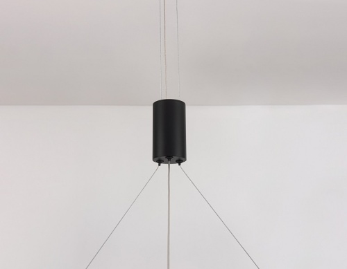 Подвесной светильник Ambrella Light FL FL5845 в Нижнем Новгороде фото 2