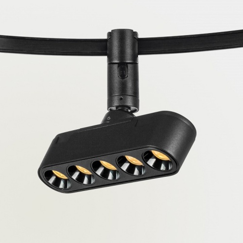 Светильник на штанге Lightstar DUE 267437 в Нижнем Новгороде фото 6