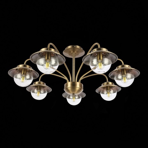 Потолочная люстра EVOLUCE Garonni SLE110102-07 в Нижнем Новгороде фото 4