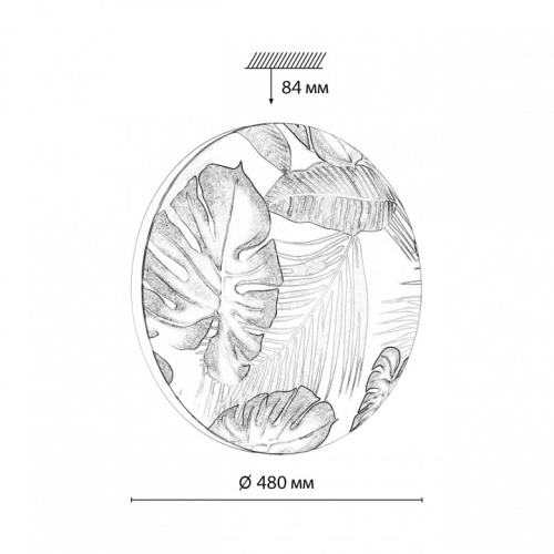 Накладной светильник Sonex Flori 7748/EL в Нижнем Новгороде фото 7