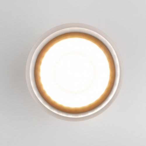 Накладной светильник Elektrostandard Light LED a057159 в Нижнем Новгороде фото 4