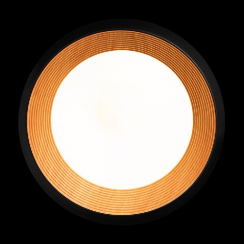 Накладной светильник Loft it Folk 10255/500 Black в Нижнем Новгороде фото 5