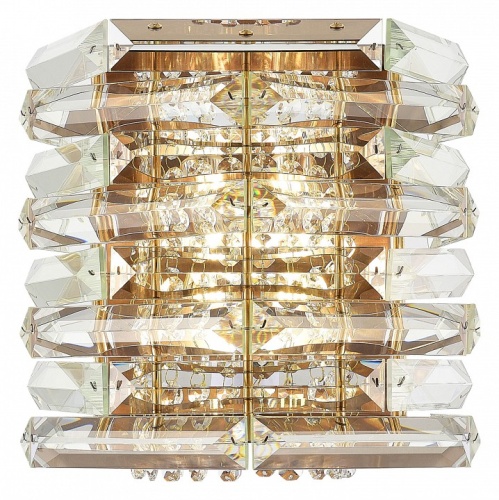 Накладной светильник ST-Luce STROZZI SL6137.201.02 в Нижнем Новгороде фото 5