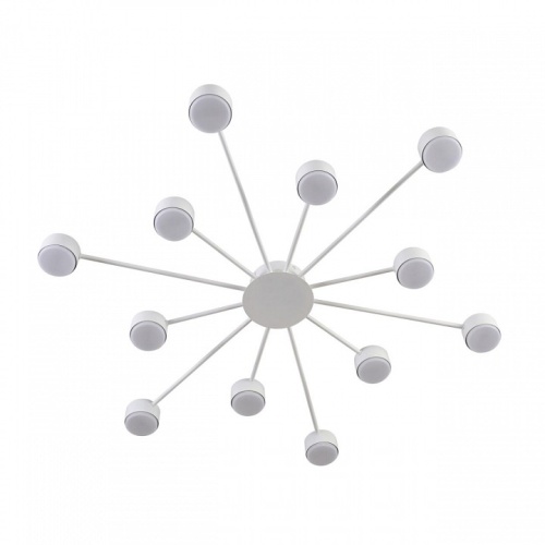 Потолочная люстра Lumion TORINA 8343/12C в Нижнем Новгороде фото 4