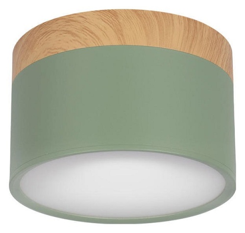 Накладной светильник Loft it Grape 10162 Green в Саратове