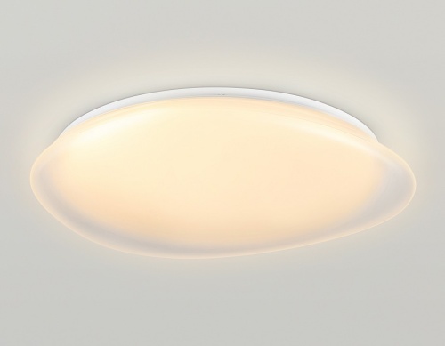 Накладной светильник Ambrella Light ORBITAL FZ1615 в Нижнем Новгороде фото 3