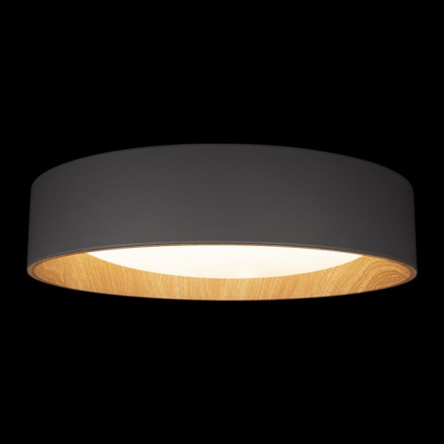 Накладной светильник Loft it Coin 10202 Grey в Нижнем Новгороде фото 4