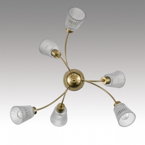 Люстра на штанге Lumion IMANA 8154/6C в Нижнем Новгороде фото 2