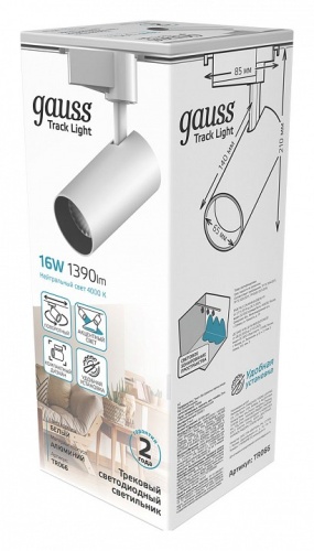 Светильник на штанге Gauss TR TR066 в Нижнем Новгороде фото 4