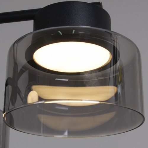 Люстра на штанге 47010-0.3-08 BK в Нижнем Новгороде фото 4