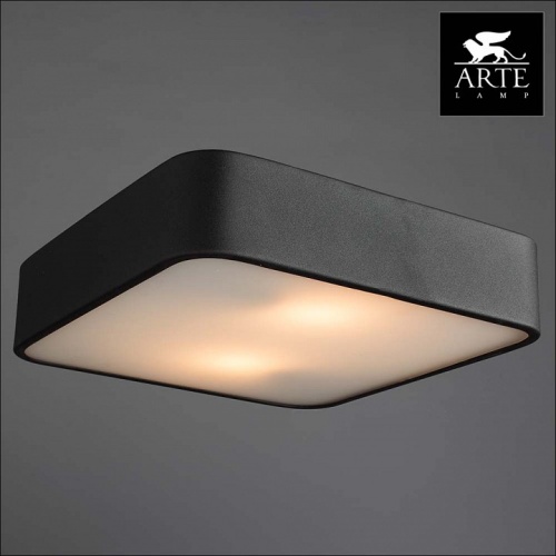 Накладной светильник Arte Lamp Cosmopolitan A7210PL-2BK в Нижнем Новгороде фото 3
