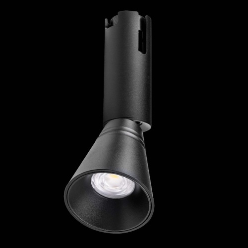 Светильник на штанге Lightstar Due Hermes 210847 в Нижнем Новгороде фото 2