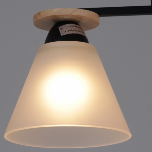 Светильник на штанге 11630-0.3-02 BK+WOOD в Нижнем Новгороде фото 2