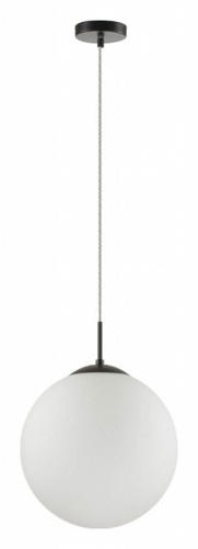 Подвесной светильник Lumion Suspentioni 6510/1A в Советске фото 2