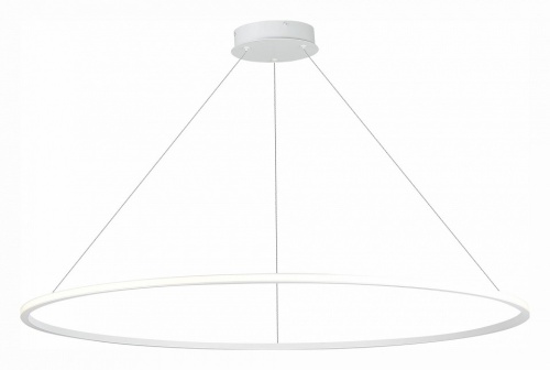 Подвесной светильник ST-Luce ST604 OUT ST604.543.46 в Нижнем Новгороде фото 2