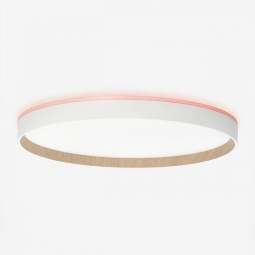 Накладной светильник Citilux ETALON CL750400R в Нижнем Новгороде фото 8