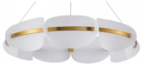 Подвесная люстра ST-Luce Etoile SL1304.203.56 в Нижнем Новгороде