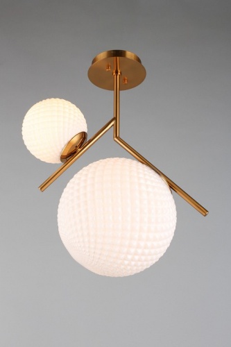 Светильник на штанге Aployt Marzena APL.300.07.02 в Нижнем Новгороде фото 5