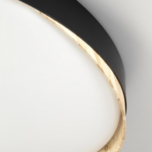 Накладной светильник Citilux BONNY CL754451G в Нижнем Новгороде фото 9