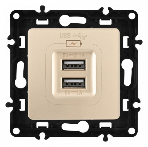 Розетка USB, без рамки Arte Milano am-217 217.46-1.shampan в Нижнем Новгороде