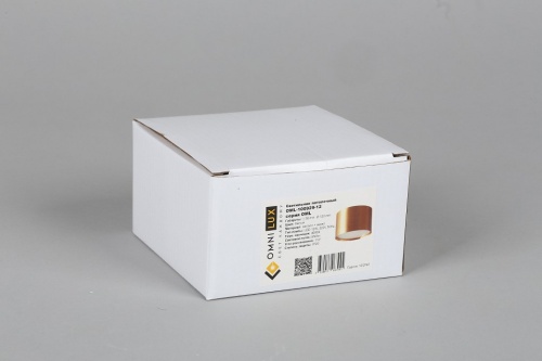 Накладной светильник Omnilux Salentino OML-100929-12 в Нижнем Новгороде фото 4