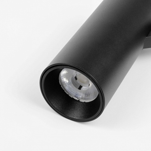 Светильник на штанге Lightstar Due Hermes 210147 в Нижнем Новгороде фото 3