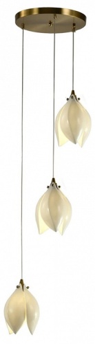 Подвесной светильник Zortes Dalin ZRS.90609.03 в Нижнем Новгороде фото 7