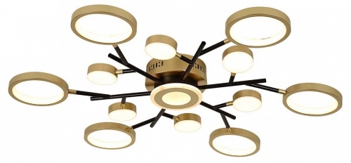 Потолочная люстра F-promo Hybrid 4686-13C в Нижнем Новгороде фото 8