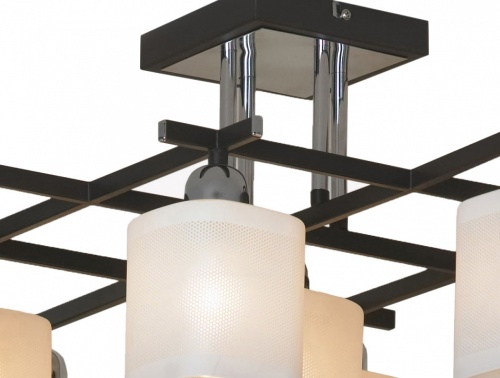 Потолочная люстра Lussole Costanzo LSL-9007-09 в Нижнем Новгороде фото 3
