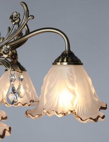 Потолочная люстра Omnilux Petrara OML-54807-05 в Нижнем Новгороде фото 2